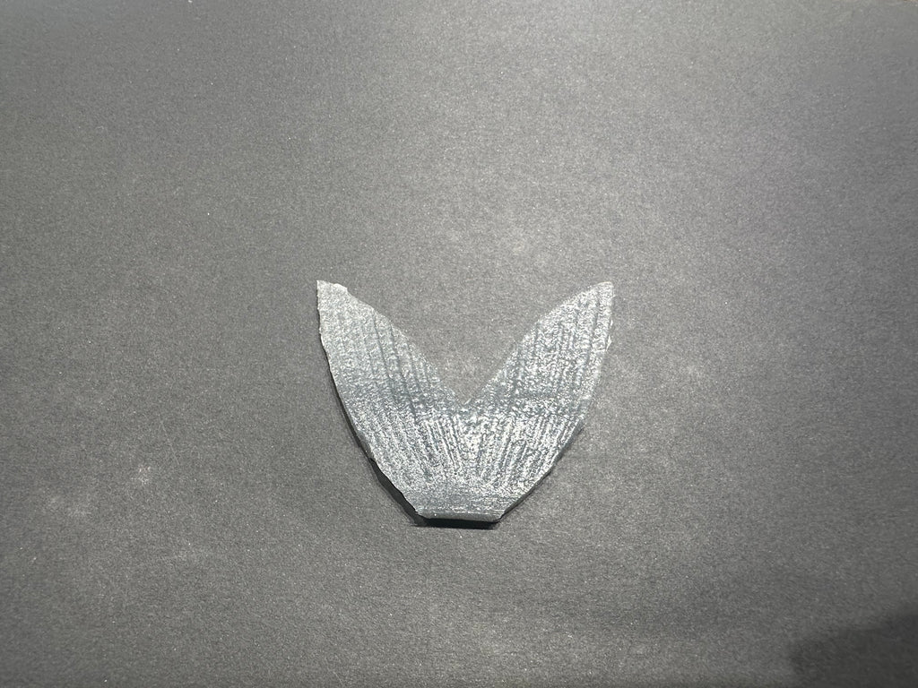 Trick Shad and Gill Replacement Tails