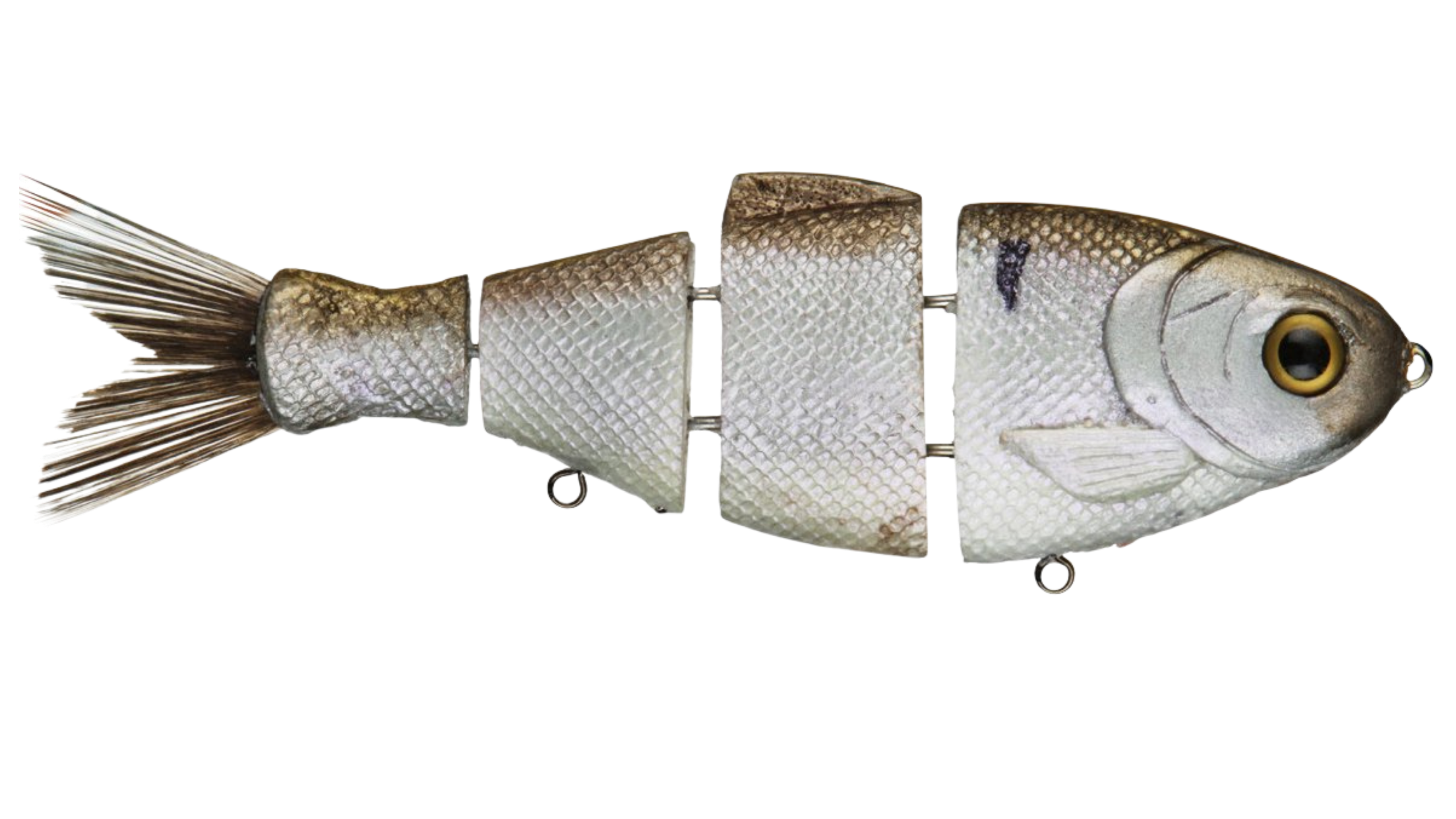 Bull Shad Slow Sink – Bull Shad Swimbaits Bull Shad Slow Sink – Bull Shad Swimbaits