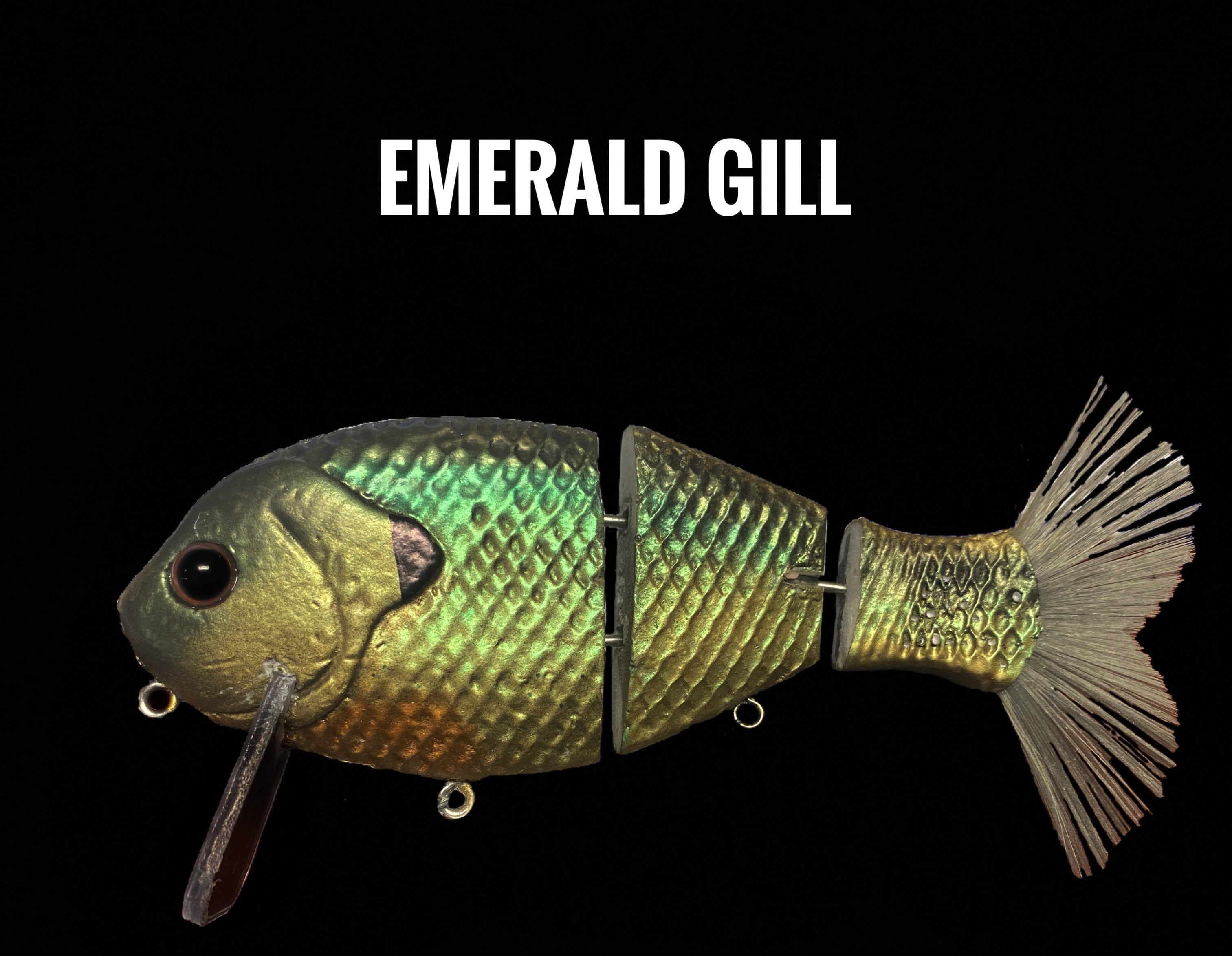 bull gill fishing lure Wake Gill – Bull Shad Swimbaits
