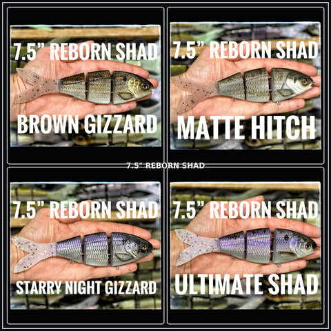 collection_title