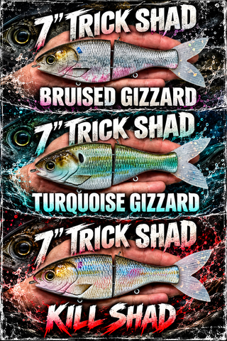 collection_title