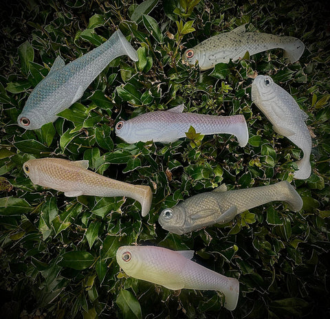 collection_title
