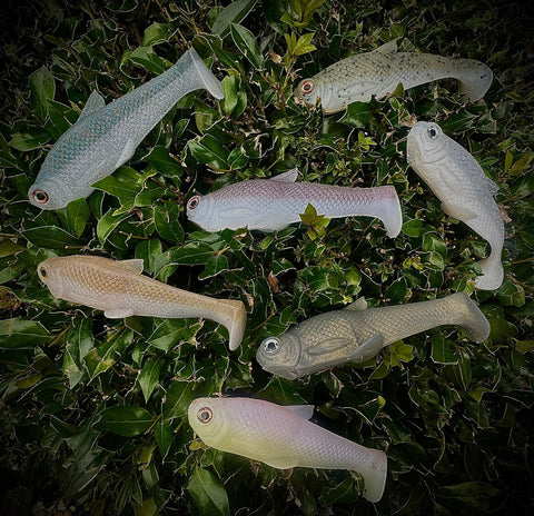 collection_title