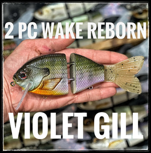 2PC HD Boss Wake Reborn