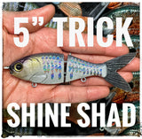 5" Trick Shad