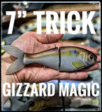 7 Inch Trick Shad