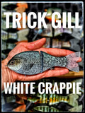 Trick Gill