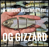 7.5” Reborn Shad MOD/FAST