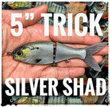 5" Trick Shad