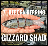 7” Herring Reborn
