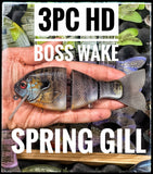 3PC HD BOSS WAKE