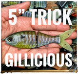 5" Trick Shad