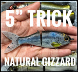 5" Trick Shad