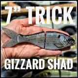 7 Inch Trick Shad