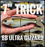 7 Inch Trick Shad