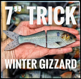 7 Inch Trick Shad