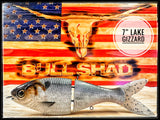 7 Inch Trick Shad