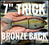7 Inch Trick Shad