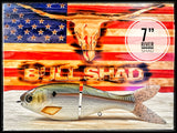 7 Inch Trick Shad