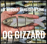 7.5” Reborn Shad Slow Sink