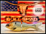 7 Inch Trick Shad