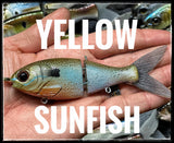 5" Trick Shad