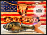 7 Inch Trick Shad