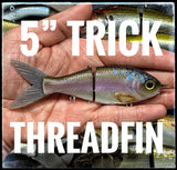 5" Trick Shad