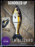 7 Inch Trick Shad