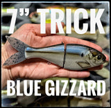 7 Inch Trick Shad