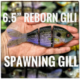 6.5” Gill Reborn Slow Sink