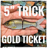 5" Trick Shad
