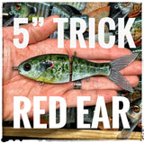 5" Trick Shad