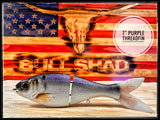 7 Inch Trick Shad