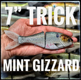 7 Inch Trick Shad