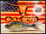 7 Inch Trick Shad