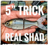 5" Trick Shad