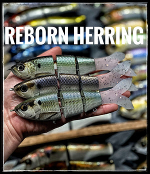 7” Herring Reborn