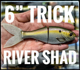 6 inch trick shad