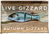 Live Gizzard