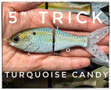5" Trick Shad