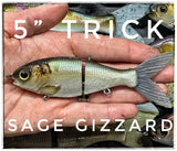 5" Trick Shad