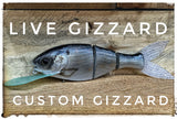 Live Gizzard