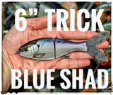 6 inch trick shad