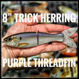 8” Trick Herring