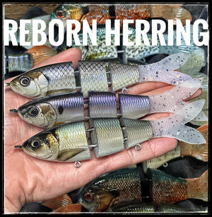 6” Herring Reborn