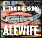 8” Trick Herring