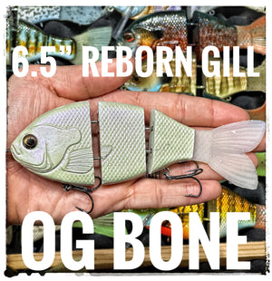 6.5” Gill Reborn MOD/FAST