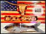 6 inch trick shad