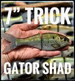 7 Inch Trick Shad
